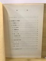 坂下遺跡をめぐる問題点