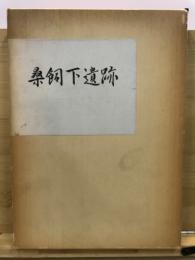 京都府舞鶴市桑飼下遺跡発掘調査報告書