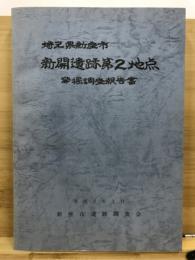 新開遺跡第2地点発掘調査報告書