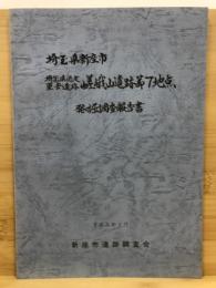 埼玉県選定重要遺跡嵯峨山遺跡発掘調査報告書