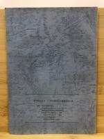 「一両山遺跡」発掘調査報告書