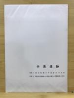 小泉遺跡