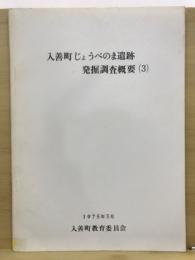 入善町じょうべのま遺跡発掘調査概報