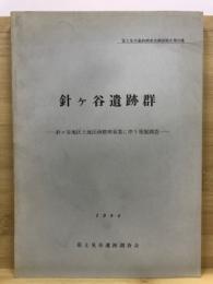 針ケ谷遺跡群 : 針ケ谷地区土地区画整理事業に伴う発掘調査