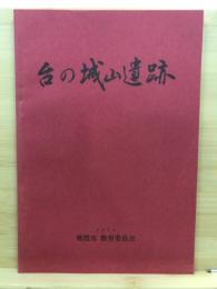 台の城山遺跡発掘調査報告書