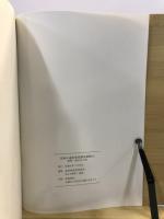 荒神谷遺跡発掘調査概報