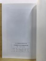 谷津遺跡第17地点発掘調査報告書