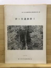 針ケ谷遺跡群