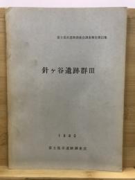針ケ谷遺跡群