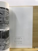 富士見市文化財報告