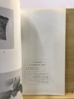 富士塚前遺跡