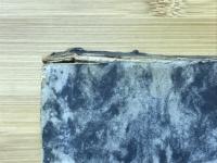 福沢諭吉