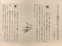 真宗リーフレット5　どうしても産みたかったのですが　水子供養とは