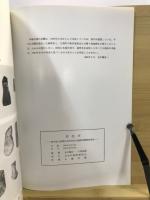 岩比田 : 埼玉県大里郡江南村岩比田遺跡発掘調査報告