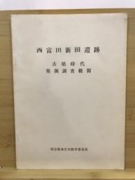 西富田新田遺跡 : 古墳時代発掘調査概報