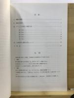 平台北遺跡群発掘調査報告書