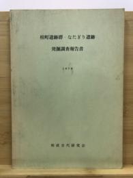 桂町遺跡群・なたぎり遺跡発掘調査報告書