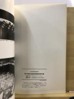 川崎市高津区野川南耕地遺跡発掘調査報告書