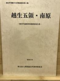 越生五領・南原 : 越生町遺跡群発掘調査報告書