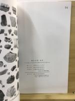 越生五領・南原 : 越生町遺跡群発掘調査報告書