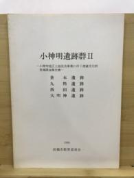 小神明遺跡群 : 小神明地区土地改良事業に伴う埋蔵文化財発掘調査報告書