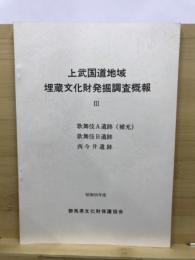 上武国道地域埋蔵文化財発掘調査概報