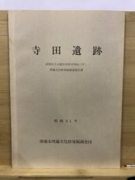 寺田遺跡 : 前橋市立元総社保育所移転に伴う埋蔵文化財発掘調査報告書