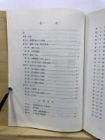 寺田遺跡 : 前橋市立元総社保育所移転に伴う埋蔵文化財発掘調査報告書