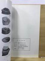 寺田遺跡 : 前橋市立元総社保育所移転に伴う埋蔵文化財発掘調査報告書