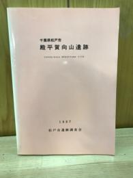 殿平賀向山遺跡発掘調査報告書