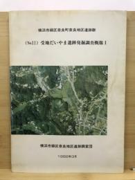 横浜市緑区奈良町奈良地区遺跡群(no.11)受地だいやま遺跡発掘調査概報