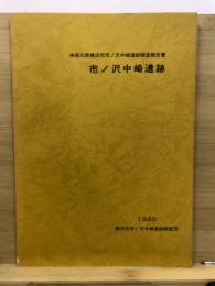 市ノ沢中崎遺跡 : 神奈川県横浜市市ノ沢中崎遺跡調査報告書