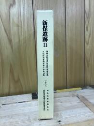 関越自動車道(新潟線)地域埋蔵文化財発掘調査報告書