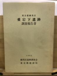 愛宕下遺跡 : 調査報告書 : 東京都練馬区