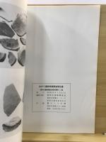 本村Ⅳ遺跡発掘調査報告書