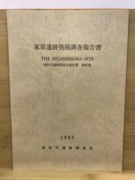 東原遺跡発掘調査報告書