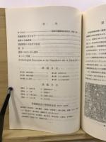 東原遺跡発掘調査報告書