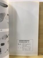 白鍬宮腰遺跡発掘調査報告書