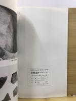 膳棚遺跡