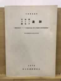 甘粕原・ゴシン・露梨子遺跡 : 国道254号バイパス建設用地に係る埋蔵文化財発掘調査