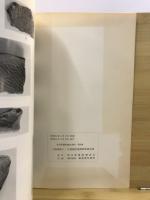 大御堂檜下・女堀遺跡発掘調査報告書