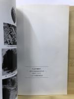 八王子城跡 : 確認調査報告書