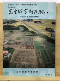 名生館官衙遺跡 : 発掘調査概報