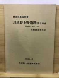 月見野上野遺跡第2地点発掘調査報告書