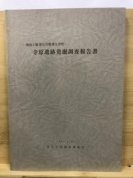 寺原遺跡発掘調査報告書