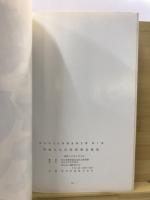 埋蔵文化財発掘調査概報