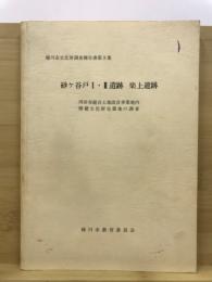 砂ケ谷戸Ⅰ・Ⅱ遺跡 楽上遺跡 : 川田谷総合土地改良事業地内埋蔵文化財包蔵地の調査