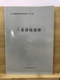 八番耕地遺跡