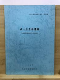 A-64号遺跡 : 大宮都市計画道路3・4・4中央通線