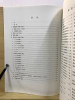 上手遺跡発掘調査報告書